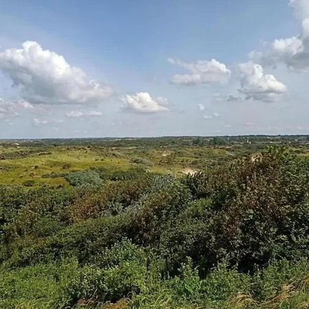 Modern Harbor-view In Scheveningen
