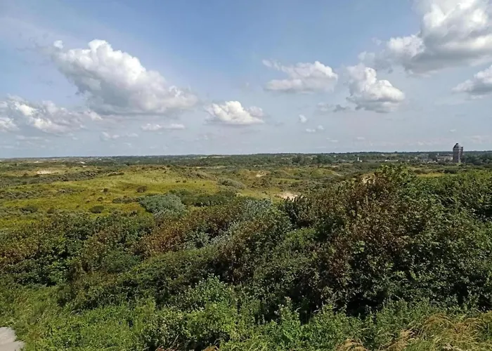 Modern Harbor-view In Scheveningen